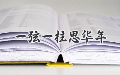 一弦一柱思华年