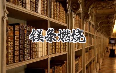 镁条燃烧