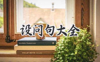 设问句大全