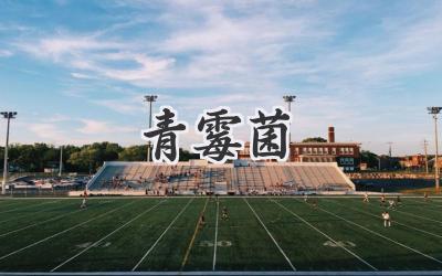 青霉菌