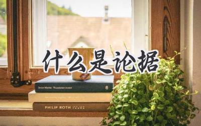什么是论据