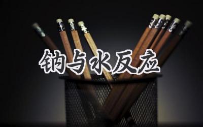 钠与水反应