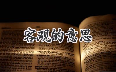 客观的意思