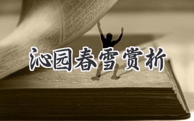 沁园春雪赏析