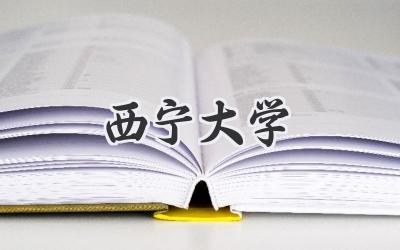 西宁大学