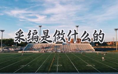 采编是做什么的