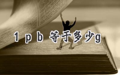 1pb等于多少g