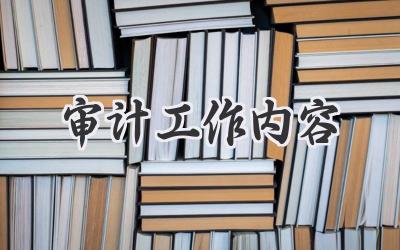 审计工作内容