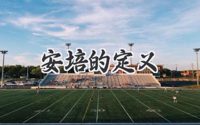 安培的定义