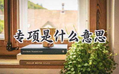 专项是什么意思
