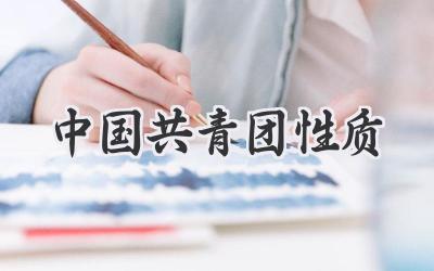中国共青团性质