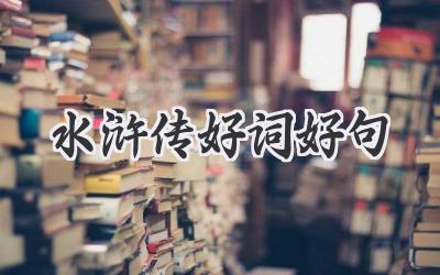 水浒传好词好句