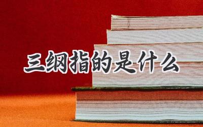 三纲指的是什么