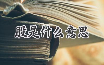 股是什么意思
