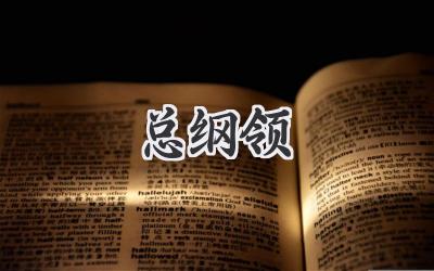 总纲领