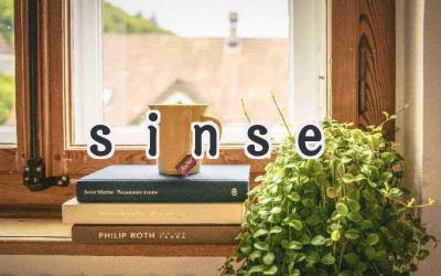 sinse