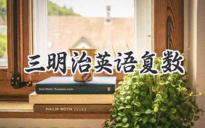 三明治英语复数