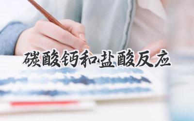 碳酸钙和盐酸反应