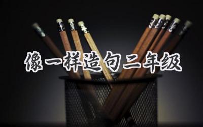 像一样造句二年级