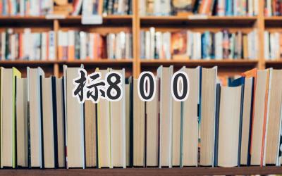 标800