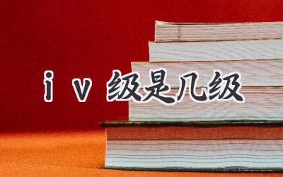 iv级是几级