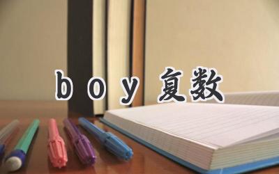 boy复数