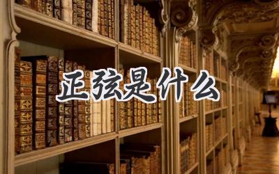 正弦是什么