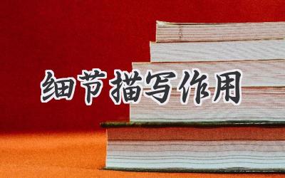 细节描写作用
