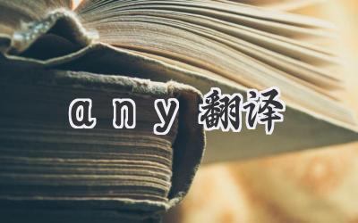 any翻译