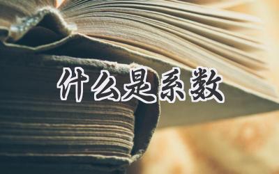什么是系数