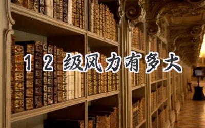 12级风力有多大