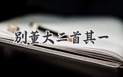 别董大二首其一