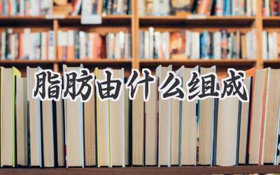 脂肪由什么组成