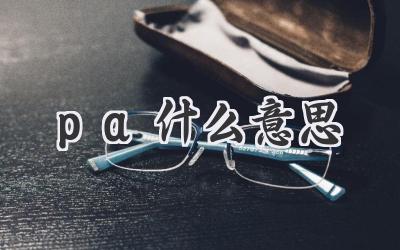 pa什么意思