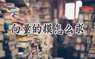 向量的模怎么求