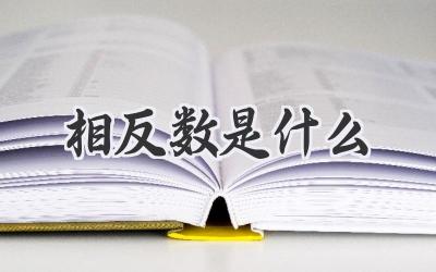 相反数是什么