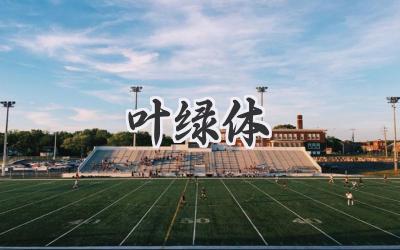 叶绿体
