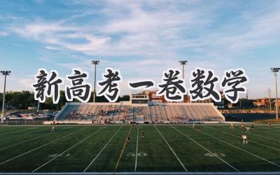 新高考一卷数学