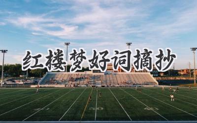 红楼梦好词摘抄