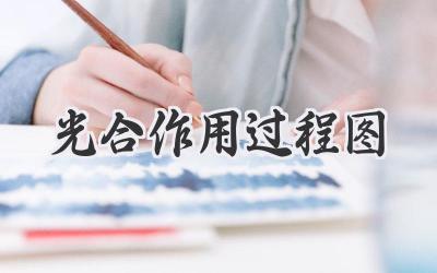 光合作用过程图