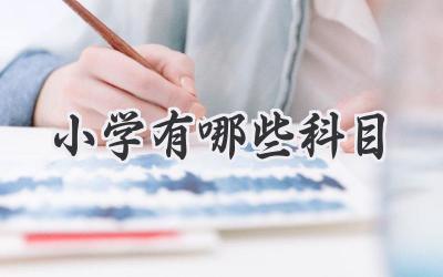 小学有哪些科目