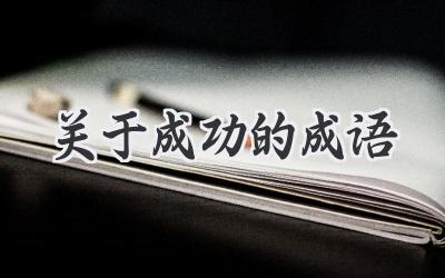 关于成功的成语