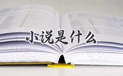 小说是什么
