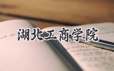 湖北工商学院