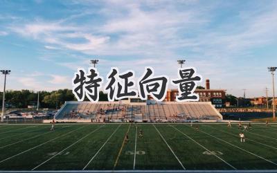 特征向量