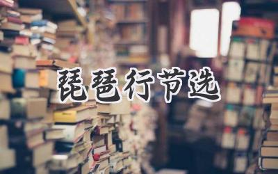 琵琶行节选