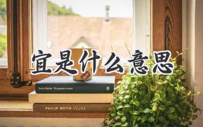 宜是什么意思