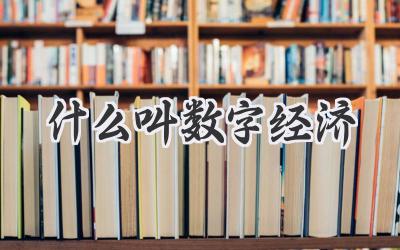 什么叫数字经济