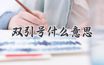 双引号什么意思