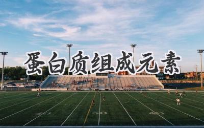 蛋白质组成元素